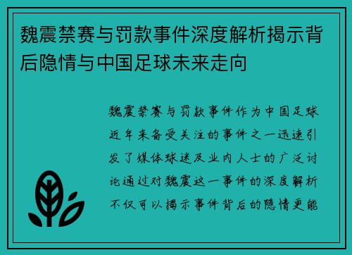 魏震禁赛与罚款事件深度解析揭示背后隐情与中国足球未来走向